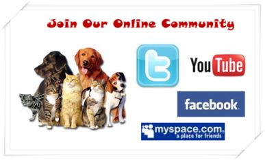 JoinOnlineCommunity 3